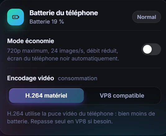 Carte Batterie du téléphone&nbsp;: batterie 19 %, état normal, mode économie, encodage vidéo H.264 matériel ou VP8 compatible